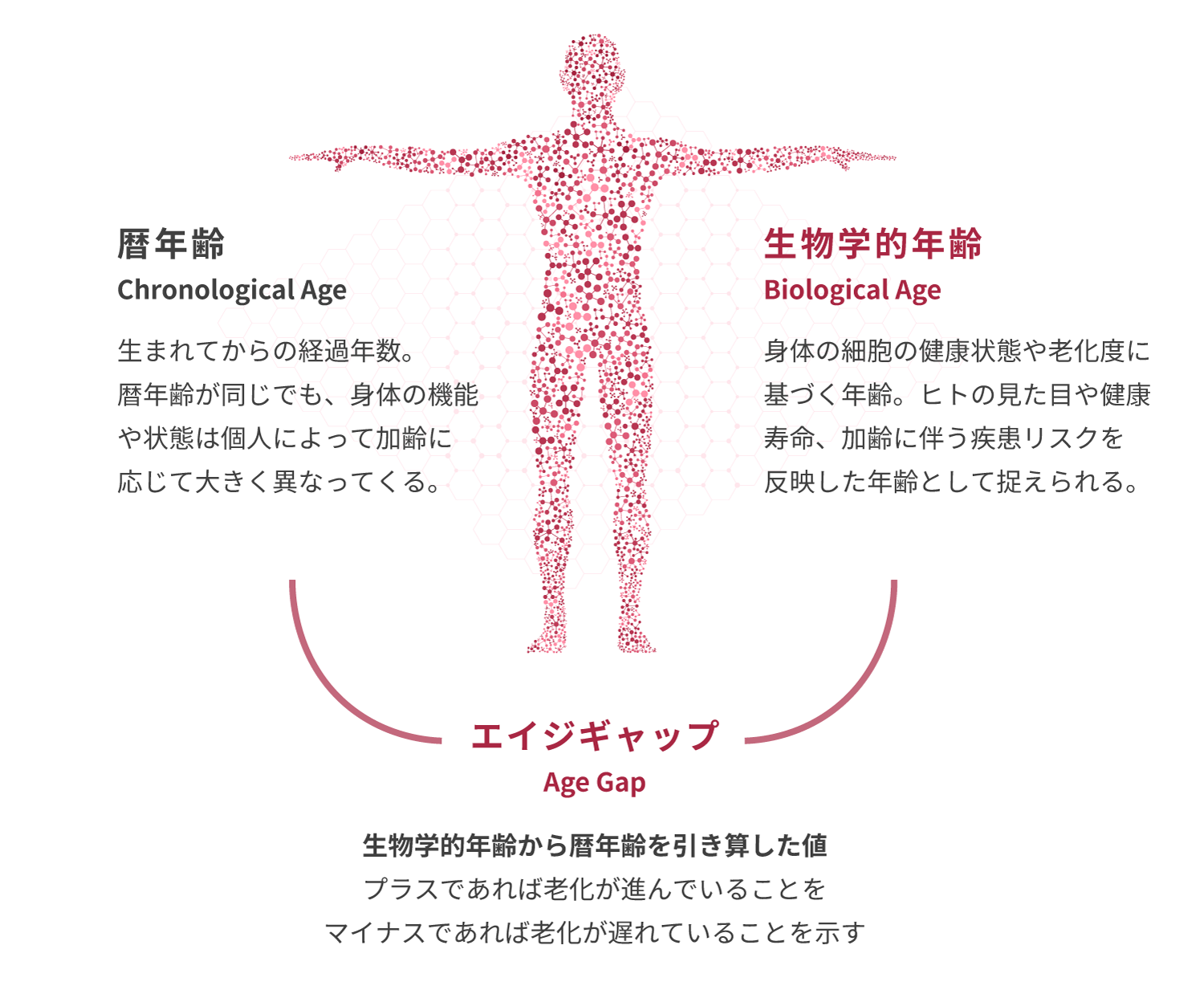 エイジギャップのイメージ