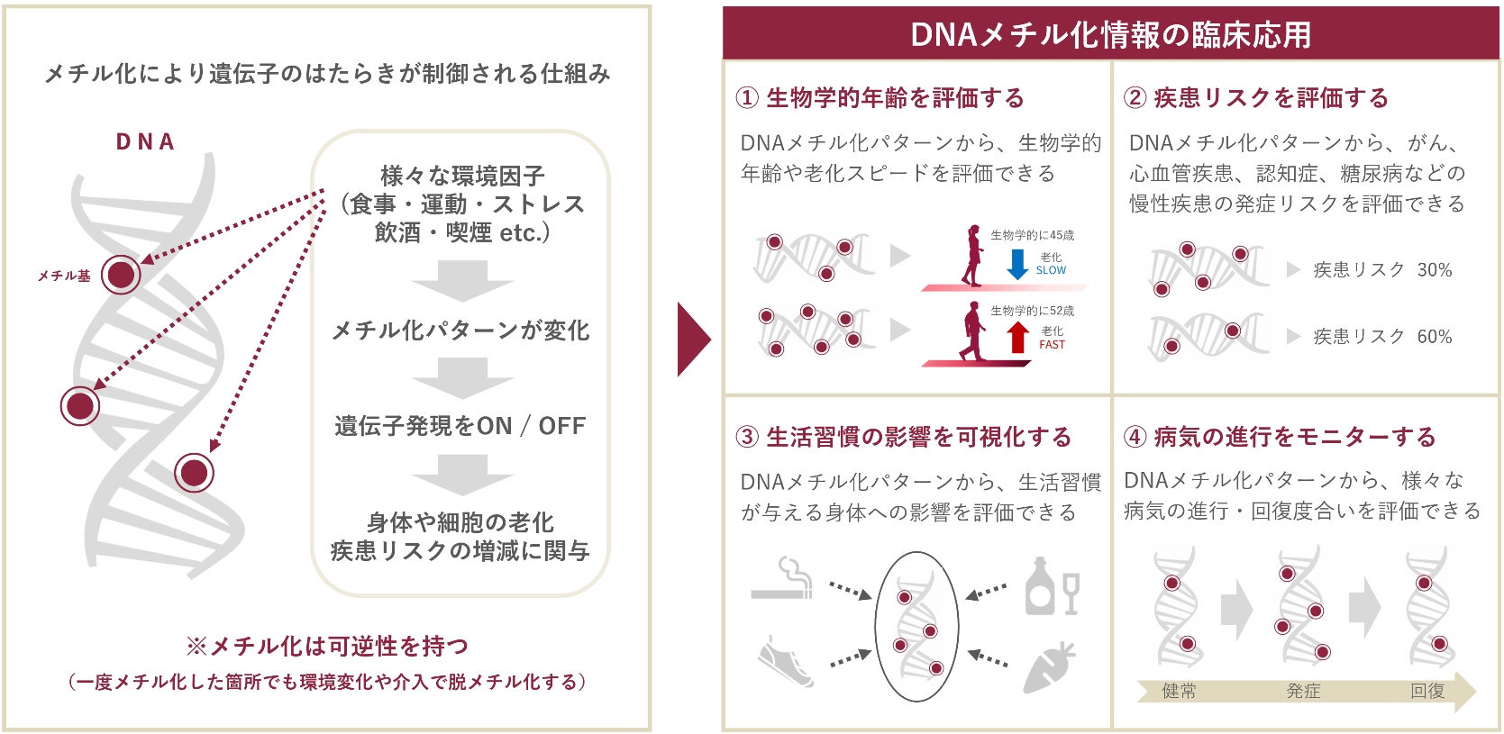 DNAメチル化情報の臨床応用のイメージ